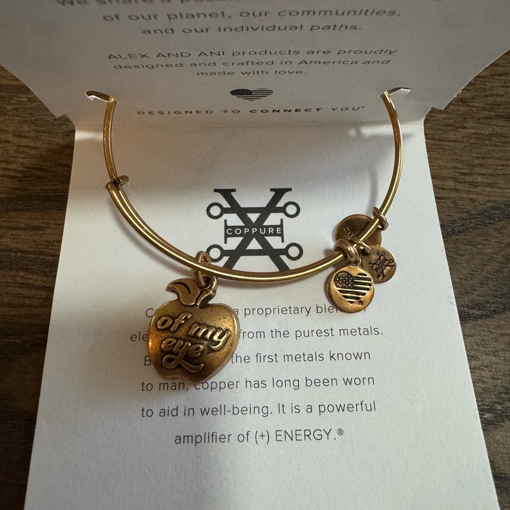 NWT Alex and Ani Apple of My Eye Bracelet
